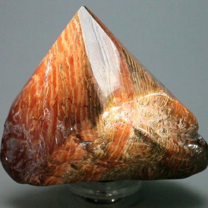 Snakeskin Jasper Generator Point ~61x50mm