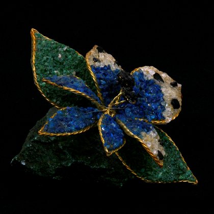 Sodalite Crystal Orchid on African Jade Base