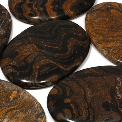 Stromatolite Palm Stone ~70x50mm