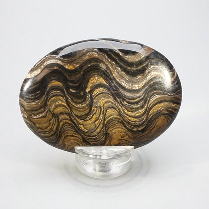 Stromatolite Palmstone (Extra Grade) ~70x50mm