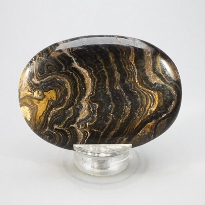 Stromatolite Palmstone (Extra Grade) ~70x50mm