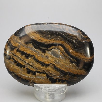 Stromatolite Palmstone (Extra Grade) ~70x50mm