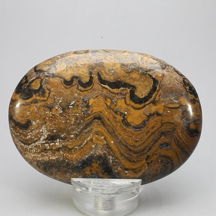 Stromatolite Palmstone (Extra Grade) ~70x50mm