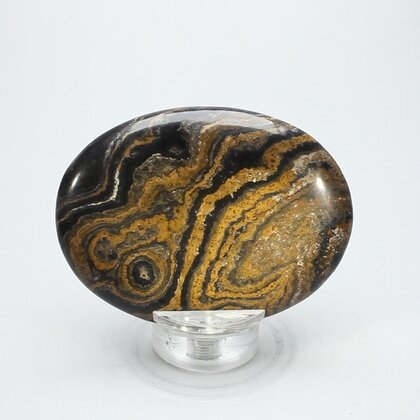 Stromatolite Palmstone (Extra Grade) ~70x50mm