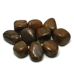 Stromatolite Tumble Stone (20-25mm)