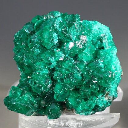 Stunning Dioptase Mineral Specimen (Tsumeb) ~32mm