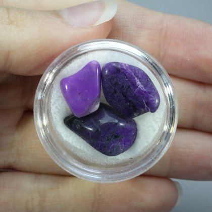 Sugilite Mini Tumblestone Chips