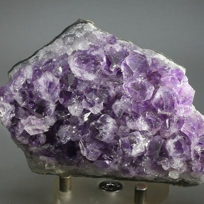 SUPERIOR Super Grade Amethyst Cluster (Uruguayan) ~90 x 60mm