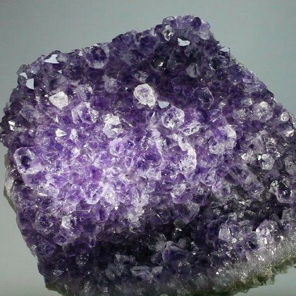 AMAZING Super Grade Amethyst Cluster (Uruguyan) ~109x125mm