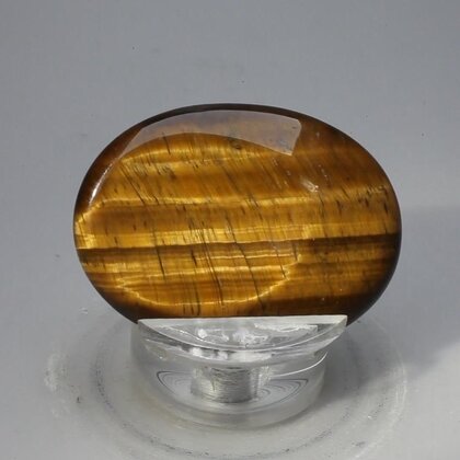 Tiger Eye Thumbstone (Extra Grade) ~40x30mm