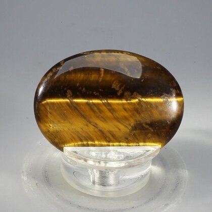 Tiger Eye Thumbstone (Extra Grade) ~40x30mm