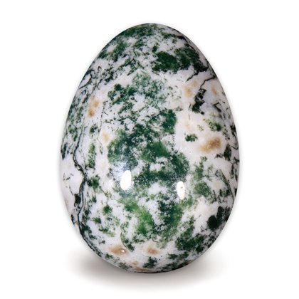 Tree Agate Crystal Egg ~48mm