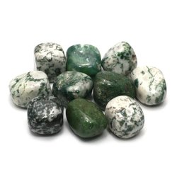 Tree Jasper Tumble Stone (20-25mm)