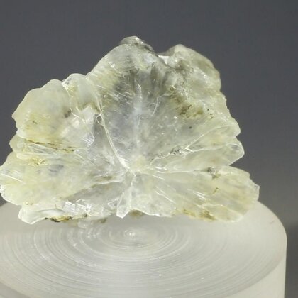 Tunellite Healing Crystal ~30mm