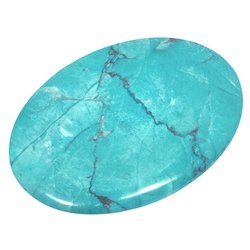 Turquoise Howlite Palm Stone