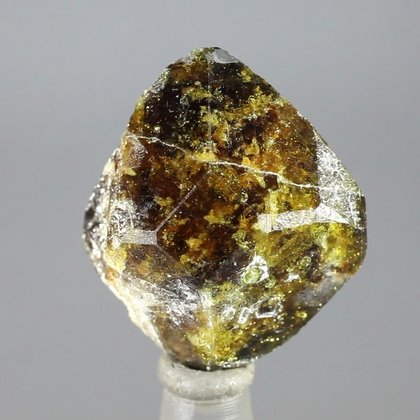Vesuvianite Healing Crystal ~25mm