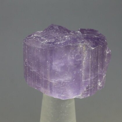 Violet Scapolite Healing Crystal ~21mm