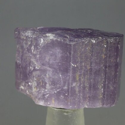 Violet Scapolite Healing Crystal ~25mm
