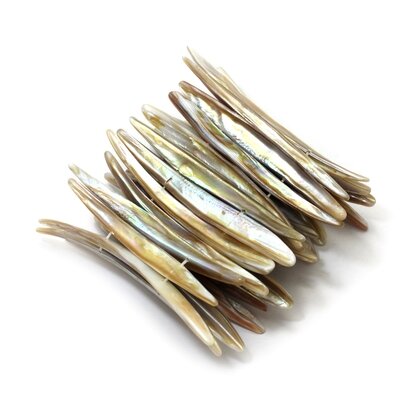 Wide Shell Bracelet