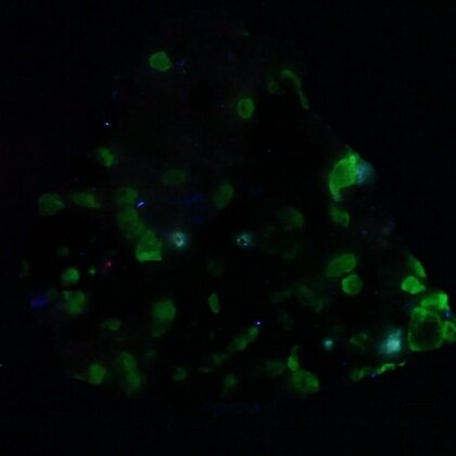 Willemite, Franklinite & Zincite Healing Mineral ~30mm