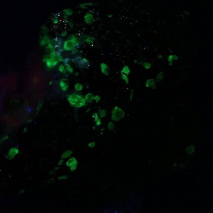 Willemite, Franklinite & Zincite Healing Mineral ~38mm