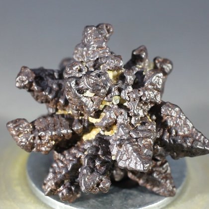 Z-Stone (Limonite after Marcasite) ~28mm